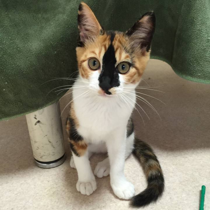 Ac9f9806 76c3 4a3b 8b1c cf25e8823a55