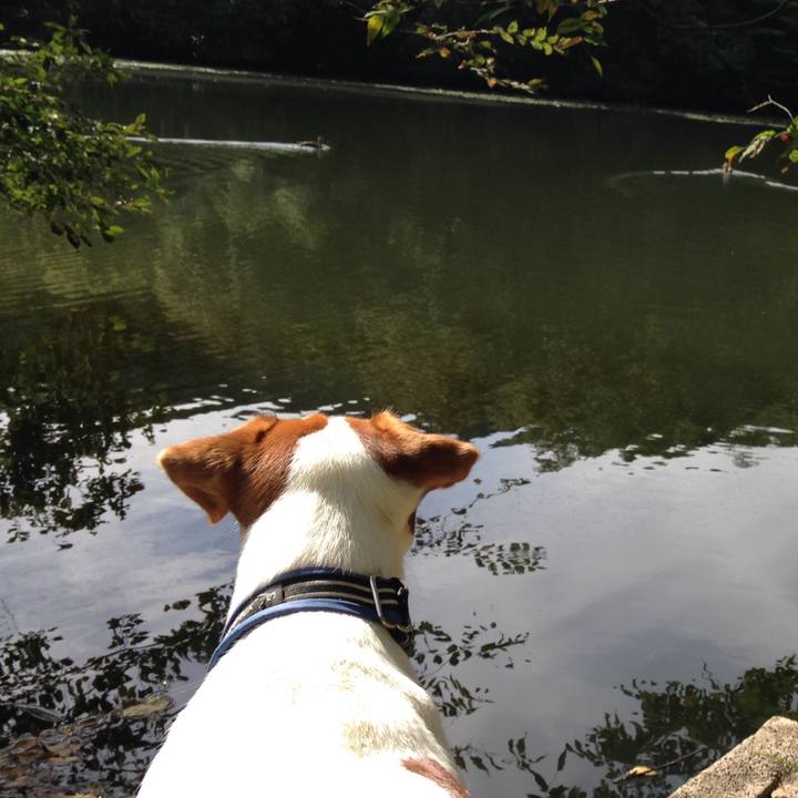 Ac9fc5ce e197 499c 9125 2fd664b0e738