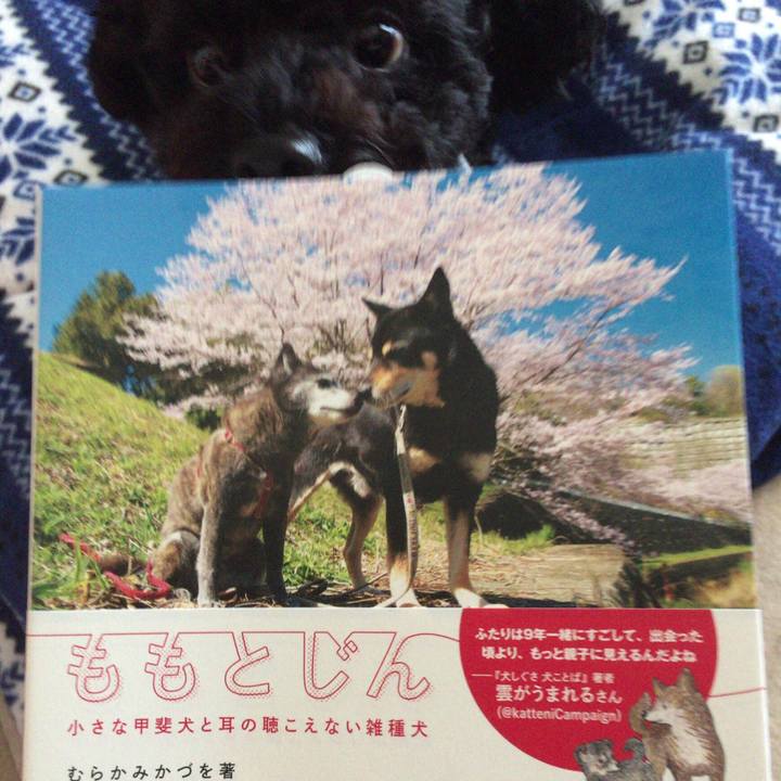 Aca03379 d82d 432f 9f9c a75cbd994846