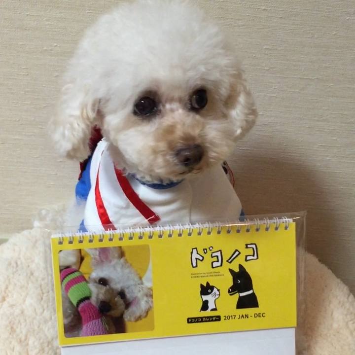 Aca080be 3c25 4978 bf26 121da8bf15b8