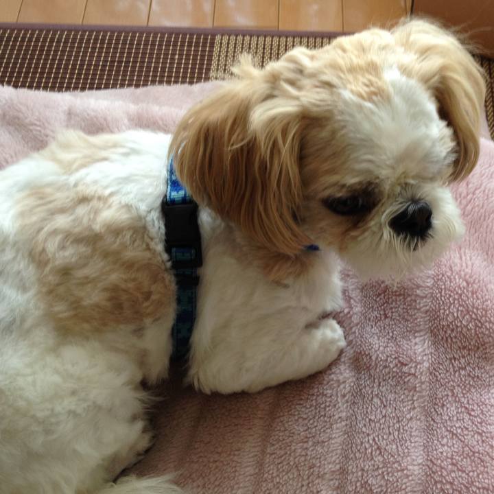 Aca0e335 4335 4022 9353 5a18c0a0824e