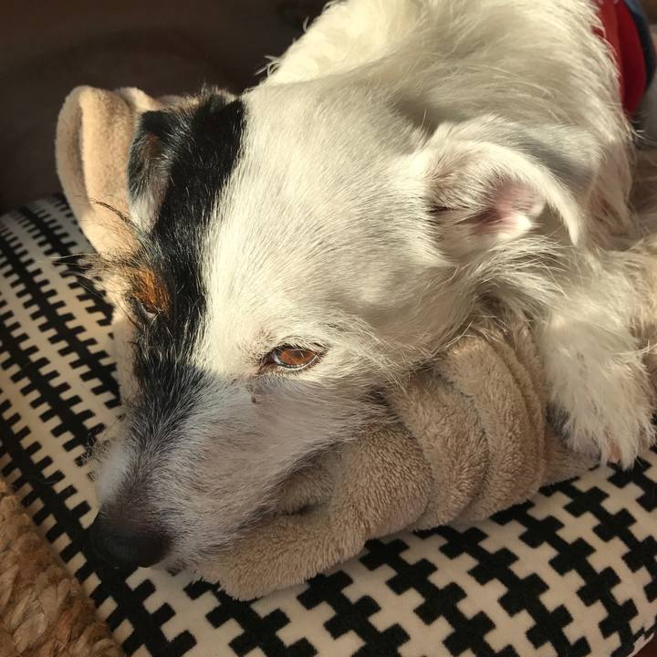 Aca0efa3 1c1b 4434 acde a1522763ae26