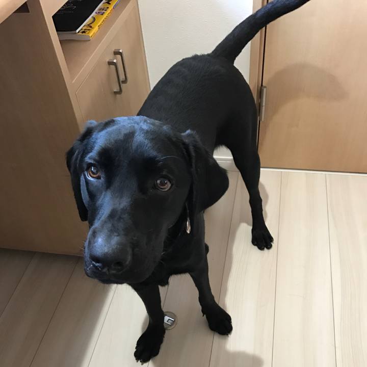 Aca1a785 d2ab 4213 864c 705bb07455df