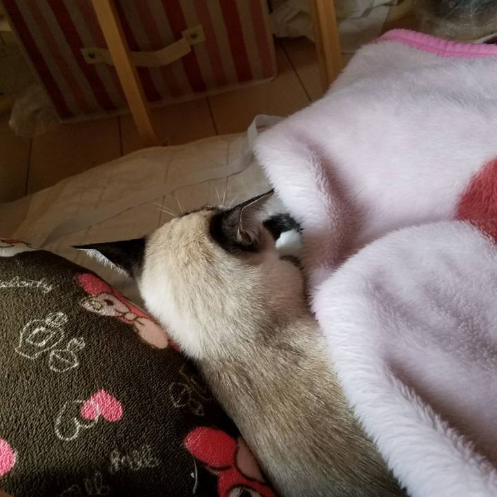 Aca21f8a 6f19 4afd 8143 1410c22d4cc5