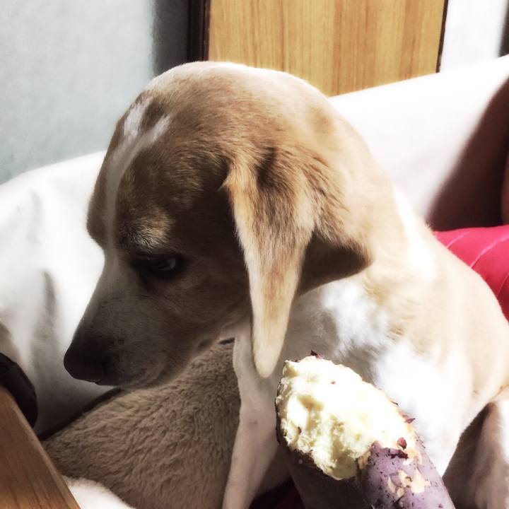 Aca2842a dda2 4b4b a48f f27fff1d88d5