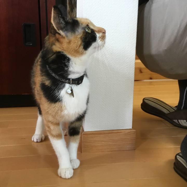 Aca35e49 69d6 4f0d bbab 6dfbdb437c7a