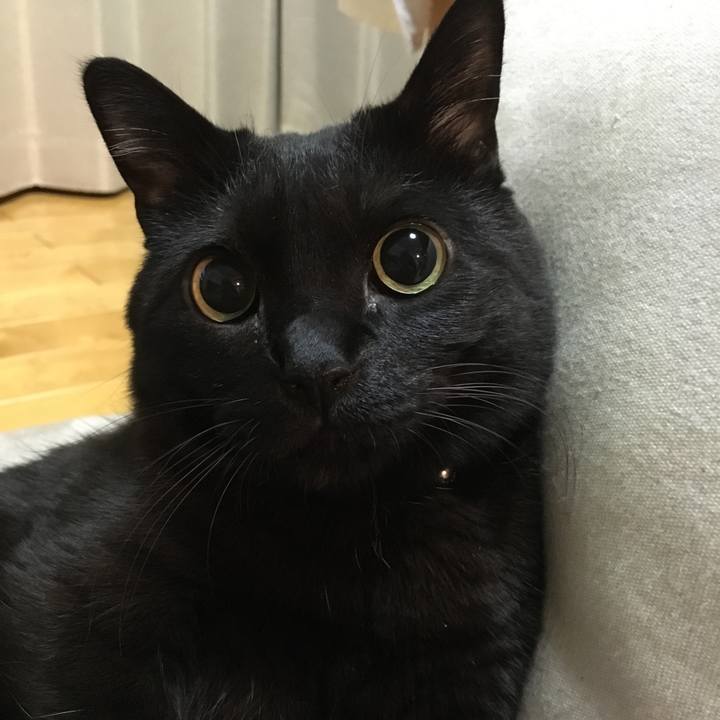 Aca36a9f ea9b 4145 92fd b9cc0feb9d3e