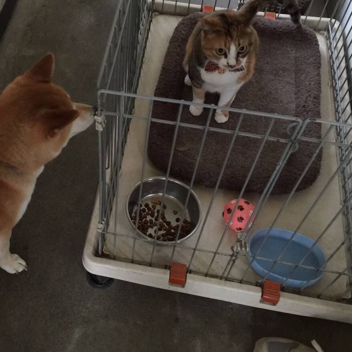 Aca39f5a 0c44 4178 9c3b 424a622c0a6f