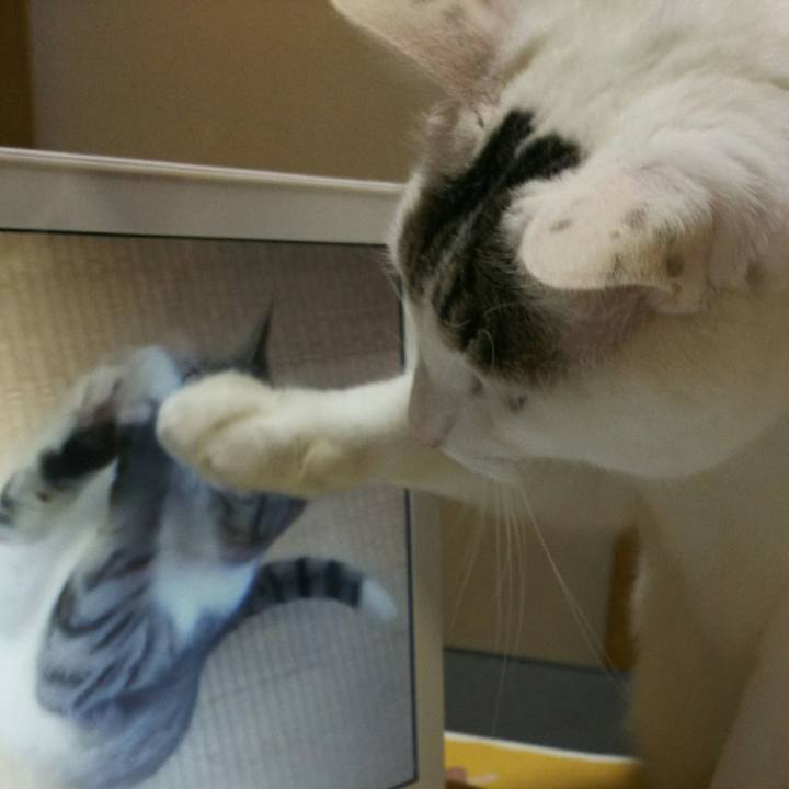 Aca3b412 35d3 45c0 a3f1 88816fb69035