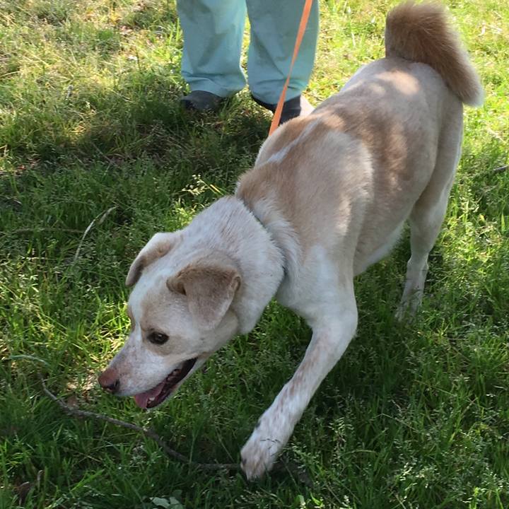 Aca4293b 977f 491e 9a8c fb57ef8575a9