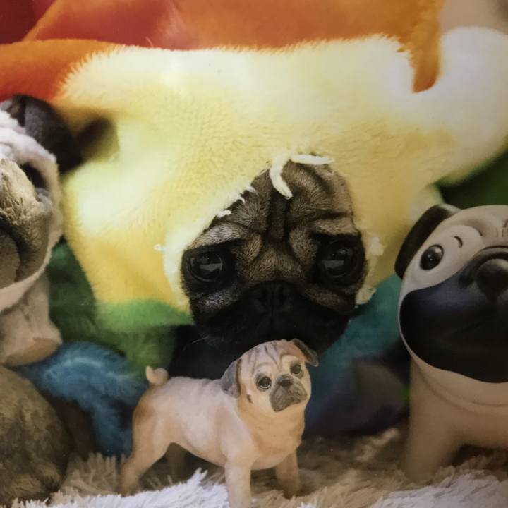 Aca50adc 59a0 4859 8857 45cd2414406b