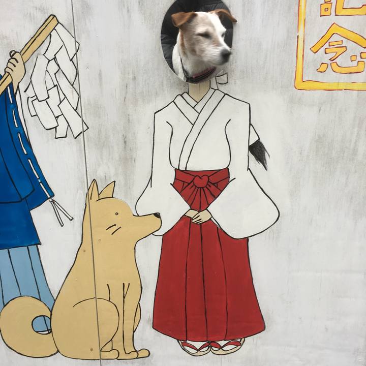 Aca54c68 1dc3 46f5 9cd8 9d4de5c84144