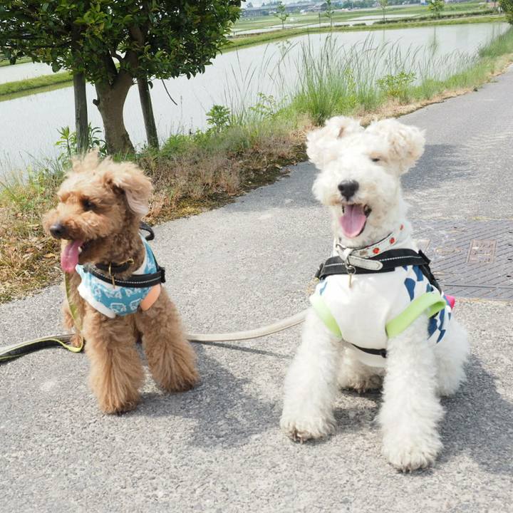 Aca59be6 4b37 4fe5 be6e 02c18514f93a