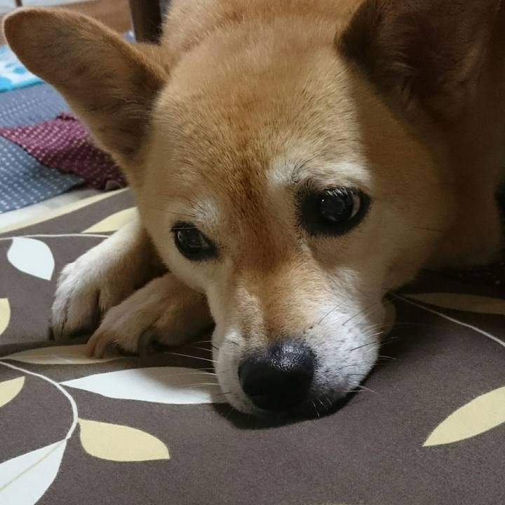 Aca62517 a91e 408e b750 ec071f912a12