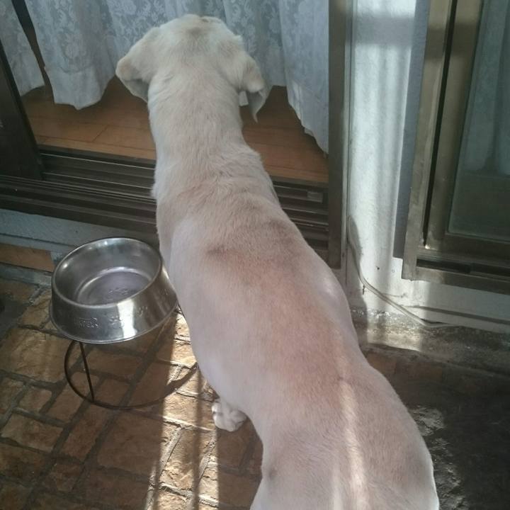 Aca670dd 072e 4507 96a6 6456058cff14