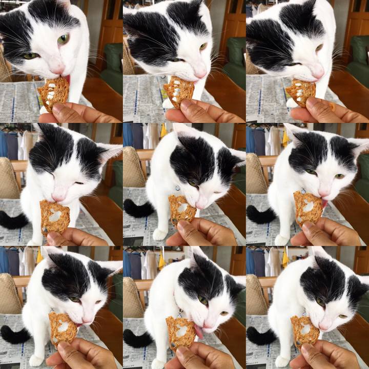 Aca69c56 b90f 464b a79a d8dc767879ac