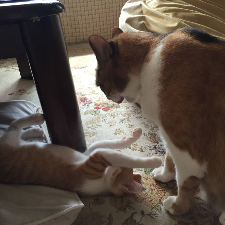 Aca6b0ed 7ba6 4ad9 9885 7b71a75ccde8