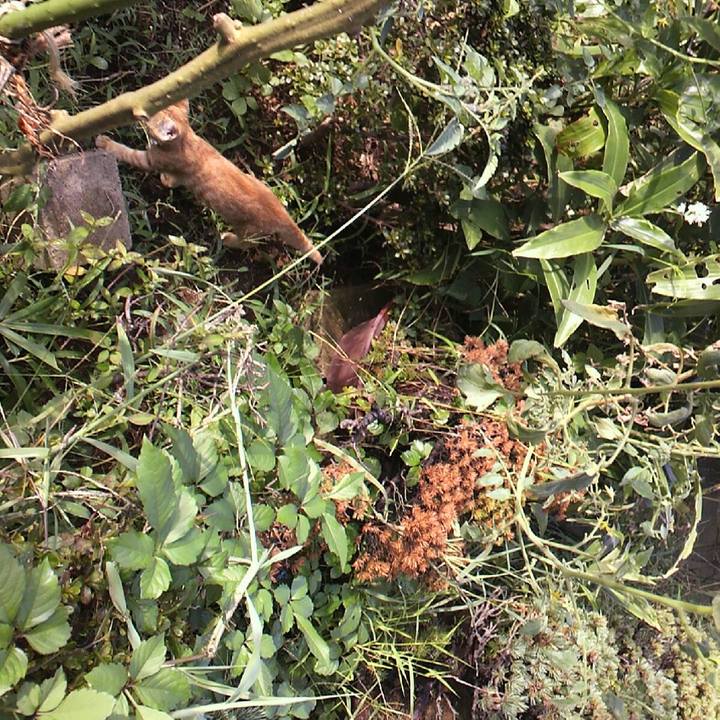 Aca72f98 0004 4cd5 953c 6d7a769388d5