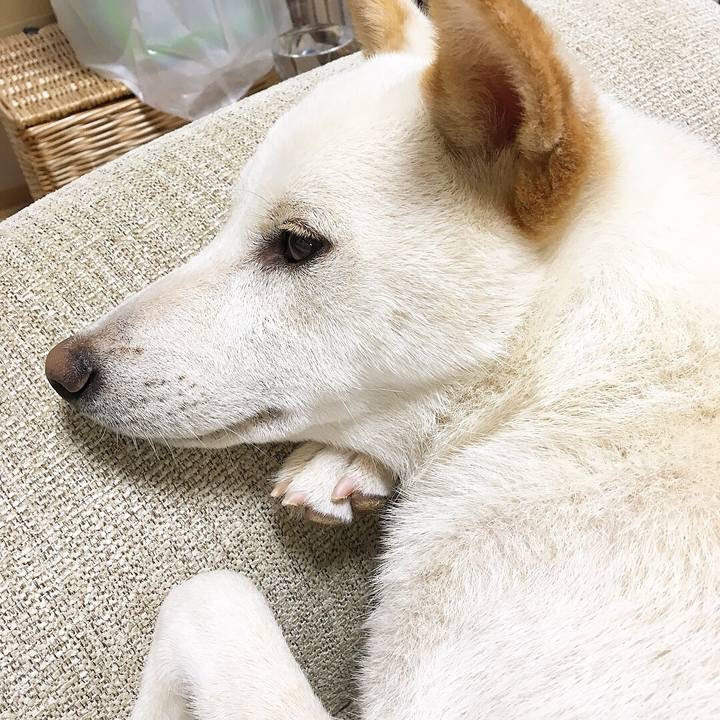 Aca786f3 6a43 4416 9afc ffa34c4a14ae