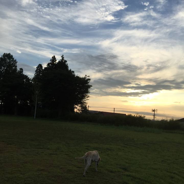 Aca7aa5e 870f 4500 be93 588f8c3ead6c