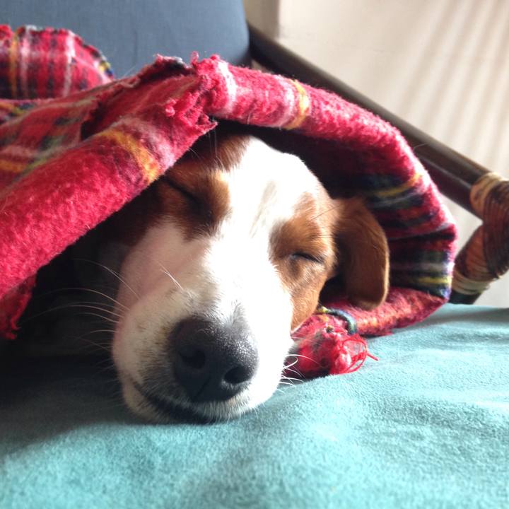 Aca7c868 5981 46ce 8554 2e29c7d6e630