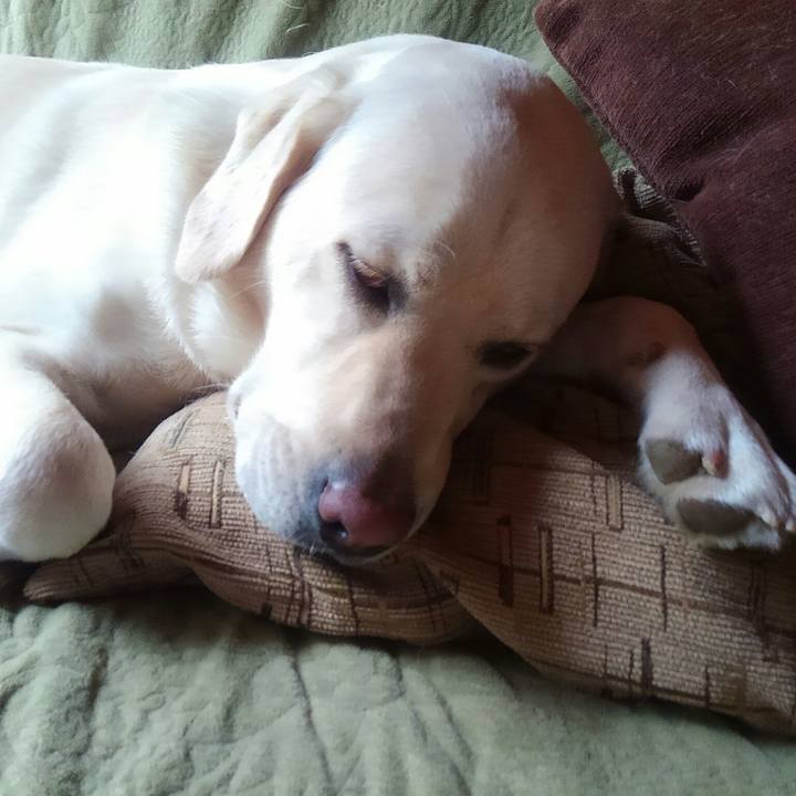 Aca7e320 27a3 491d 891a bf9d2d03e7e7