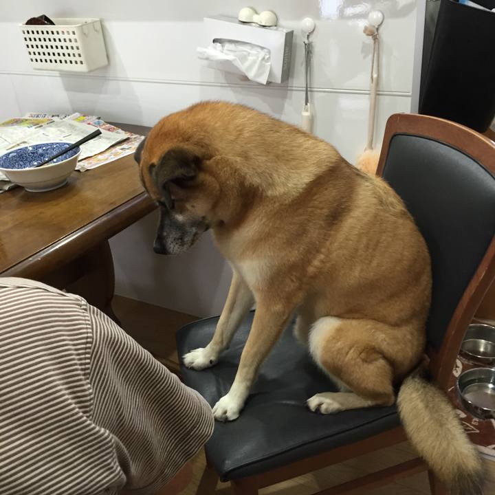 Aca844ea c9ed 4b1a 8162 8e2677b462e6