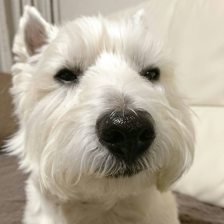 Aca856a7 1c9f 4fcb abc5 5a277538c6c1