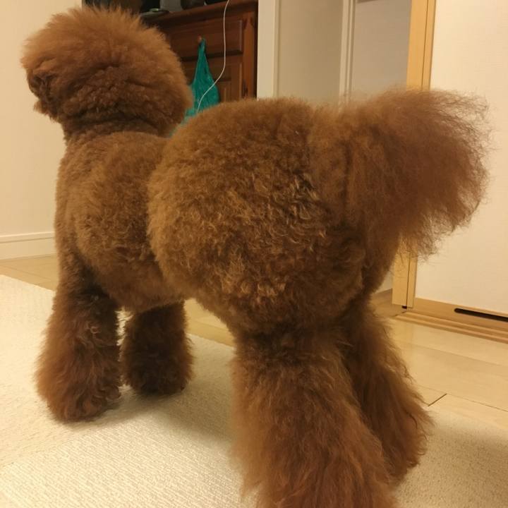 Aca8ba14 5ce2 4d38 89ef f550d39e308f