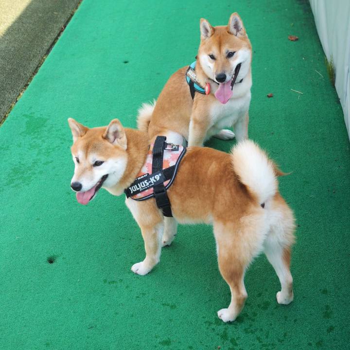 Aca8c05f 0fae 4dce adfc ad2be0d95bac