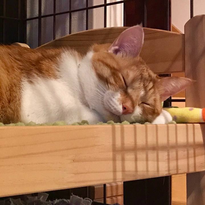 Aca8da90 3ede 4621 9643 ac5584e7e782