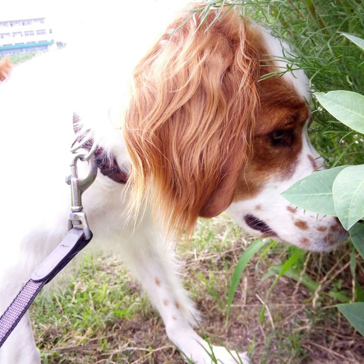 Aca8ff32 b203 4430 8dbe befe32c4149d