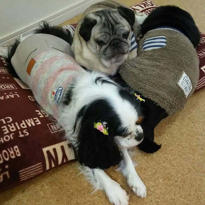 Aca92ee1 727c 49fd a215 7d3c3bbe2cf7