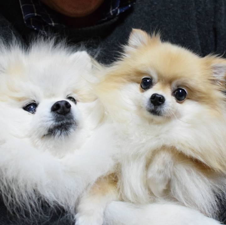 Aca9614c cab9 4416 a0c8 a1e16ad92d7b