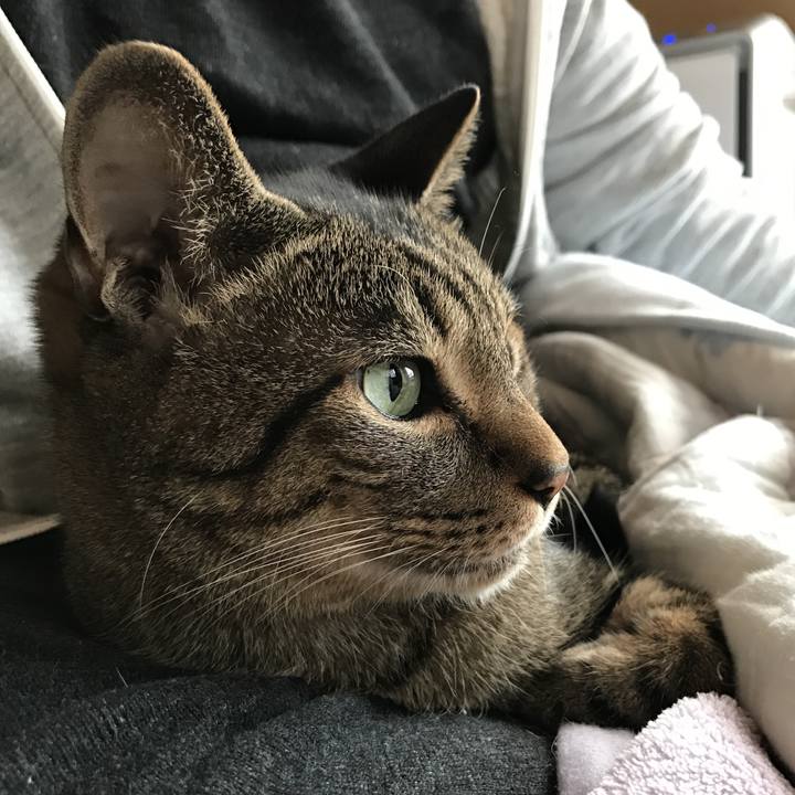 Acaa40d2 2010 4b45 b313 0400f9515864