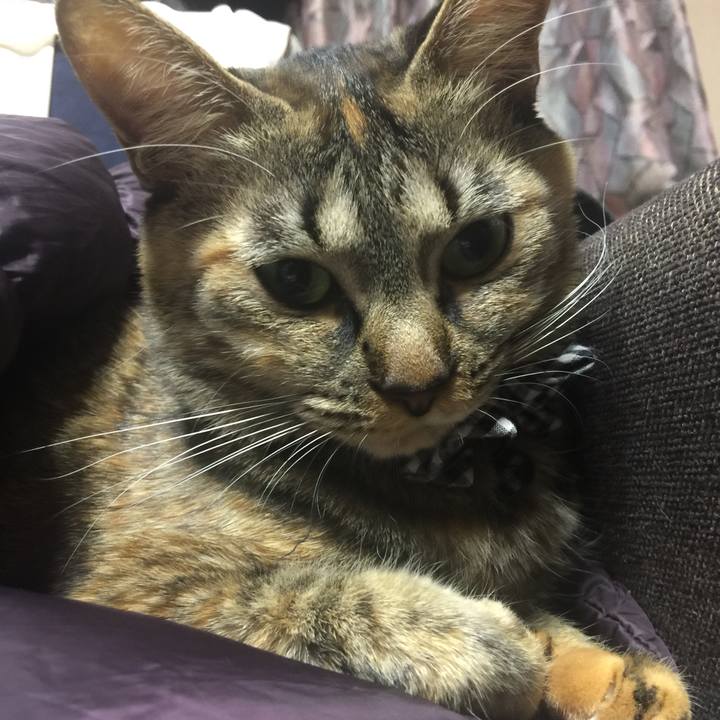 Acab174e e5d7 408a 857e 5be2b7b17a98