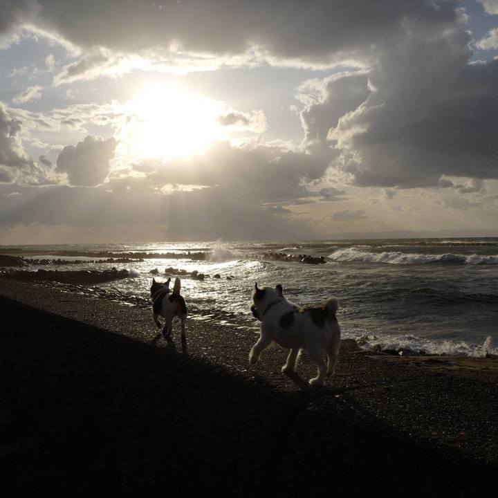 Acab9365 b161 4985 a3f7 9cf7f0cfb04d