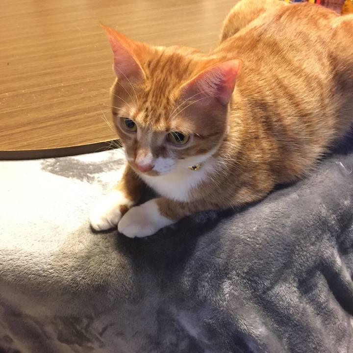 Acaba64f eb6a 4f6f 83b0 b785449c239e