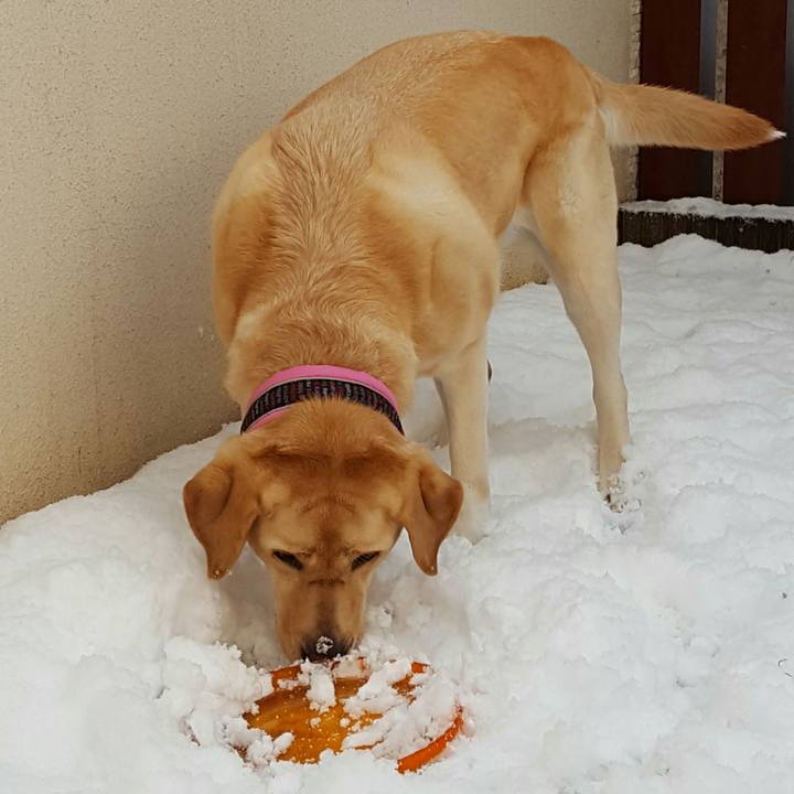 Acac5b30 928b 4293 aebf d11a7d815454