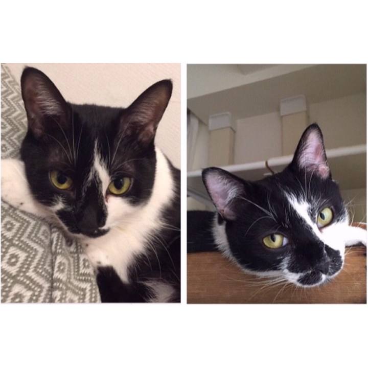 Acac645a b2bf 4a08 bb34 56f0cafe92ae