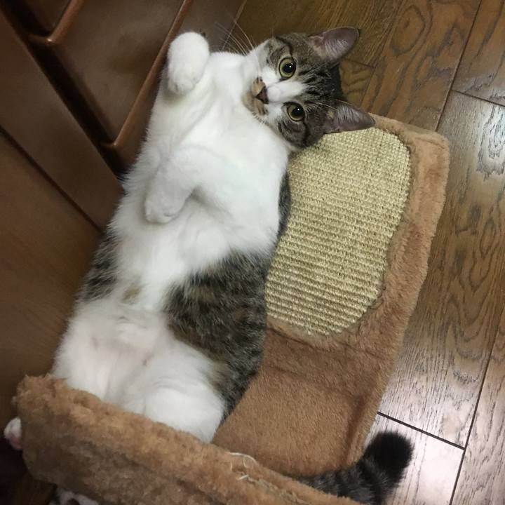 Acac98d1 72a5 4420 bdd9 d46b00ca60a9