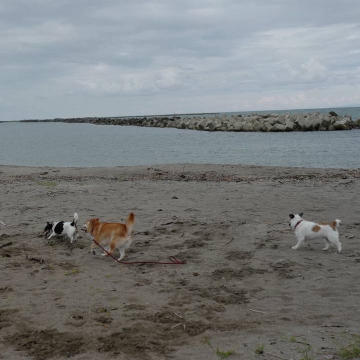 Acad374a fc88 437b adb6 50d05e380f30