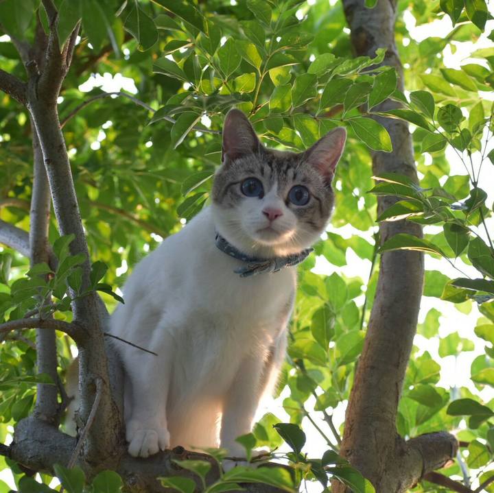 Acad763b fc29 43b7 9df8 f31e8099429b