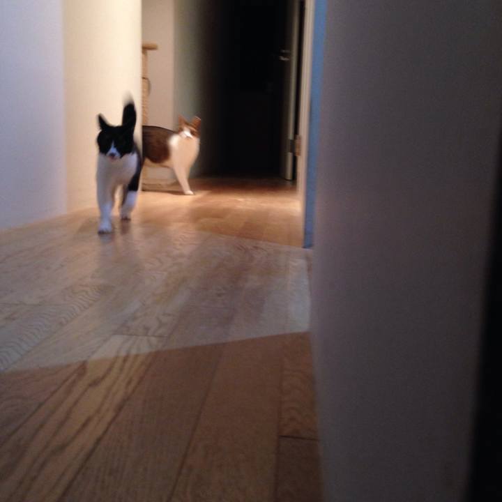 Acadcef2 68e5 4476 9349 1fb126056316