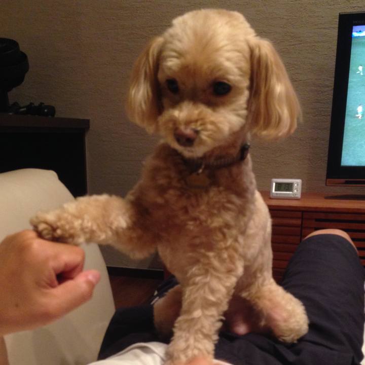 Acade0c7 c51f 4eca bd22 07598edeeccf