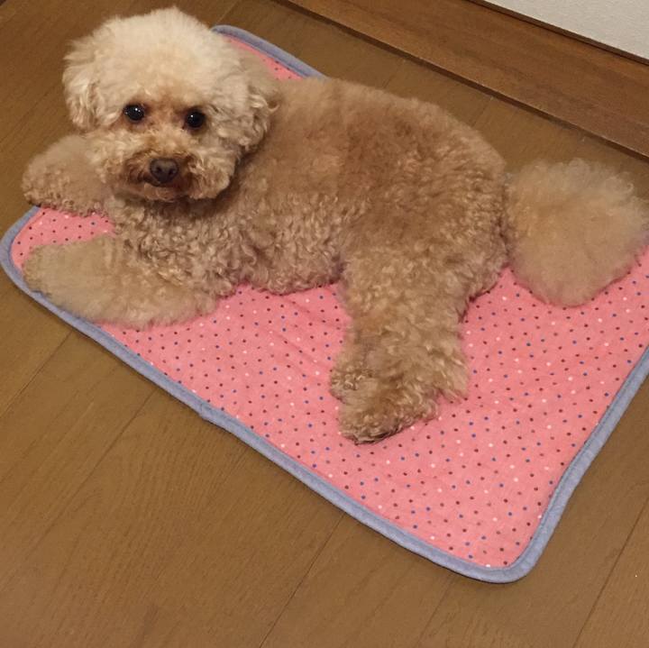 Acadf448 c9cf 44b2 b4ea 0a1f23920882