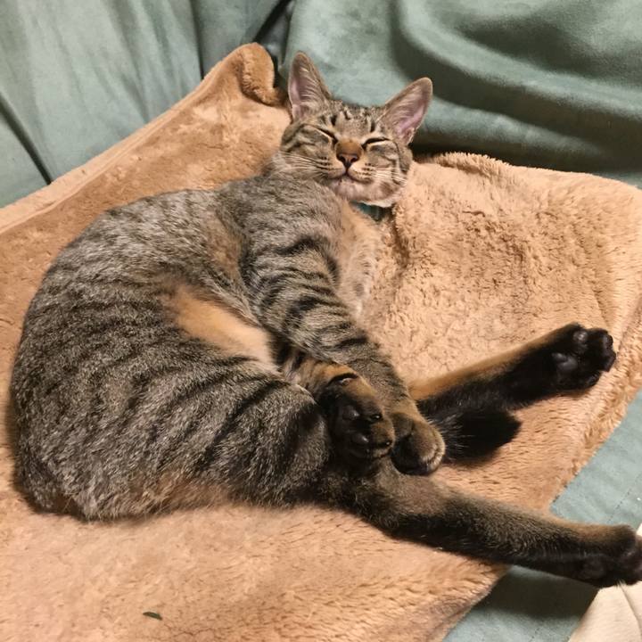 Acae09bc 3bff 4488 b856 446733591b44