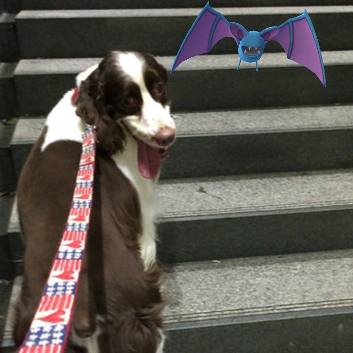 Acae627d 8767 4955 8786 2359ec37dc2b