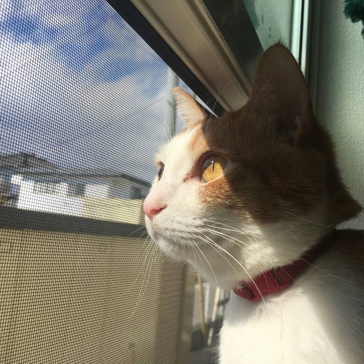 Acaeca77 0d17 4ff8 8aa8 d5fb4b181526