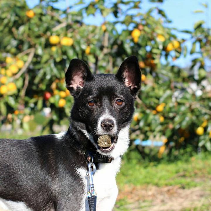 Acaf8004 1b9d 4ed5 995b 5a8b63860cd2